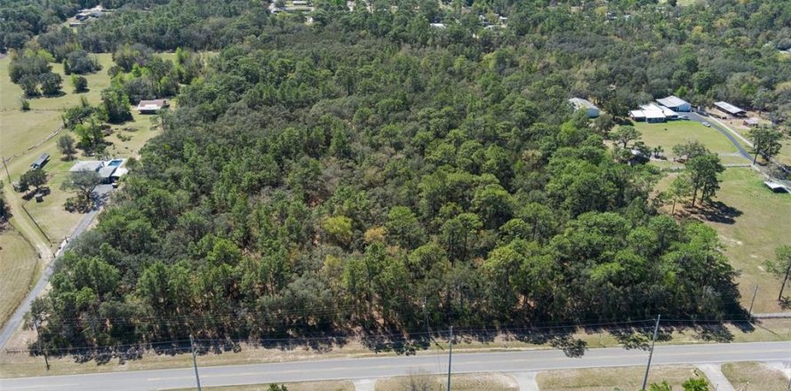 Land in Homosassa, Florida № 1628505