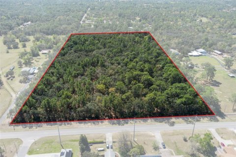 Land in Homosassa, Florida № 1628505 - photo 2