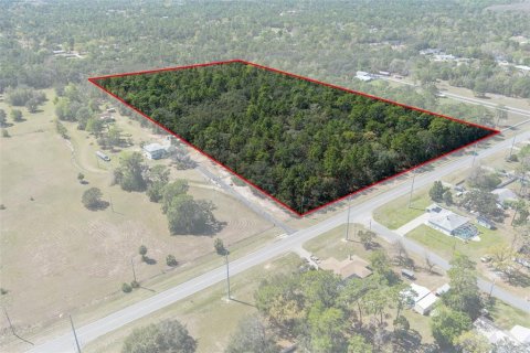 Land in Homosassa, Florida № 1628505 - photo 5