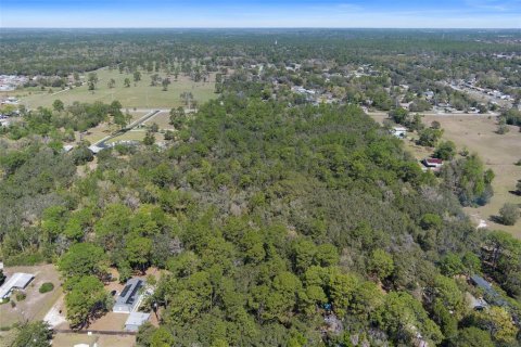Land in Homosassa, Florida № 1628505 - photo 12