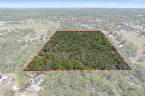 Land in Homosassa, Florida № 1628505 - photo 11