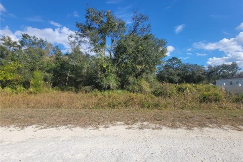 Land in Webster, Florida № 2165809 - photo 3