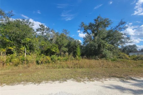 Land in Webster, Florida № 2165809