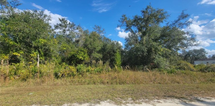 Land in Webster, Florida № 2165809
