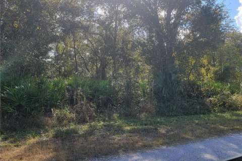Land in Webster, Florida № 2165809 - photo 4