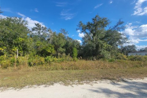 Land in Webster, Florida № 2165809 - photo 2