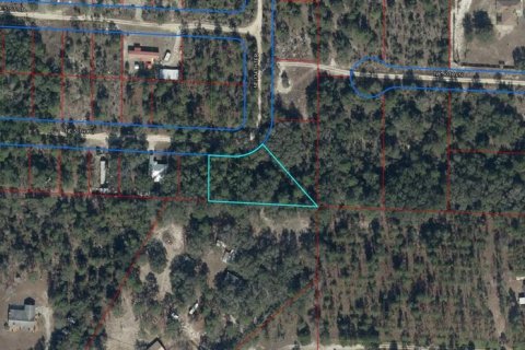 Land in Williston, Florida № 2163728