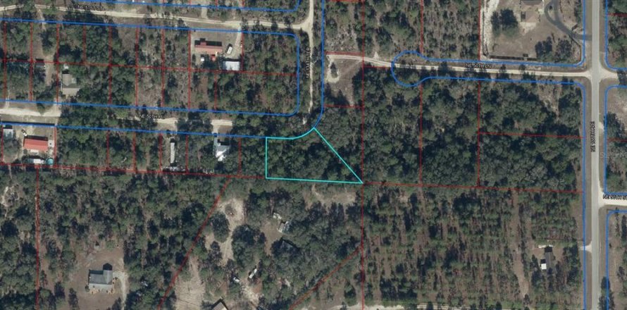 Land in Williston, Florida № 2163728