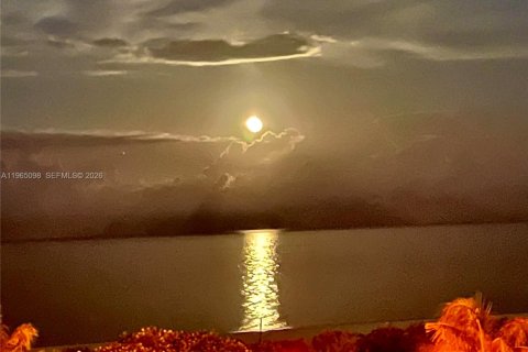 Condominio en alquiler en Miami Beach, Florida, 1 dormitorio, 76.55 m2 № 2026392 - foto 12