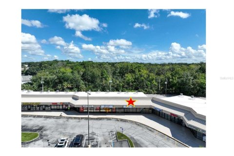 Immobilier commercial à Leesburg, Floride 2074.51 m2 № 2420239