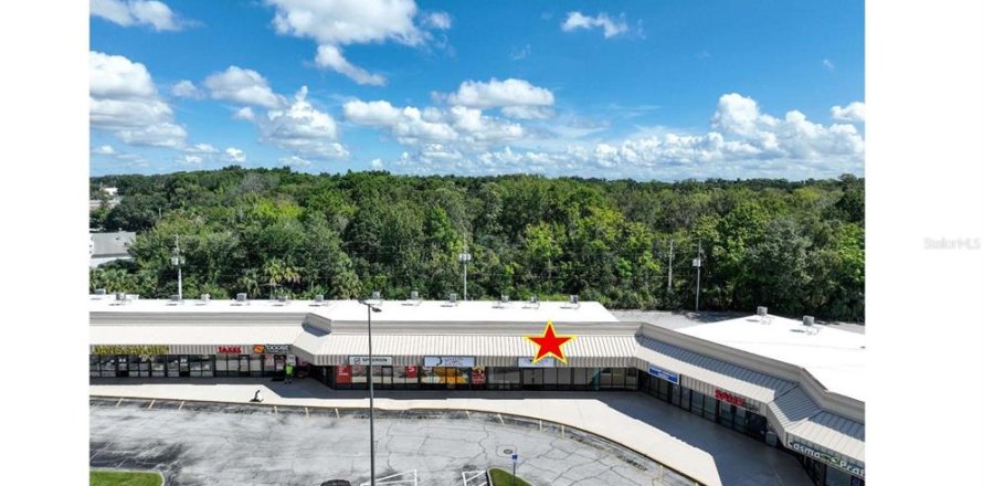 Immobilier commercial à Leesburg, Floride 2074.51 m2 № 2420239