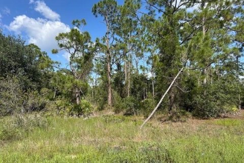 Land in Punta Gorda, Florida № 2165482 - photo 4