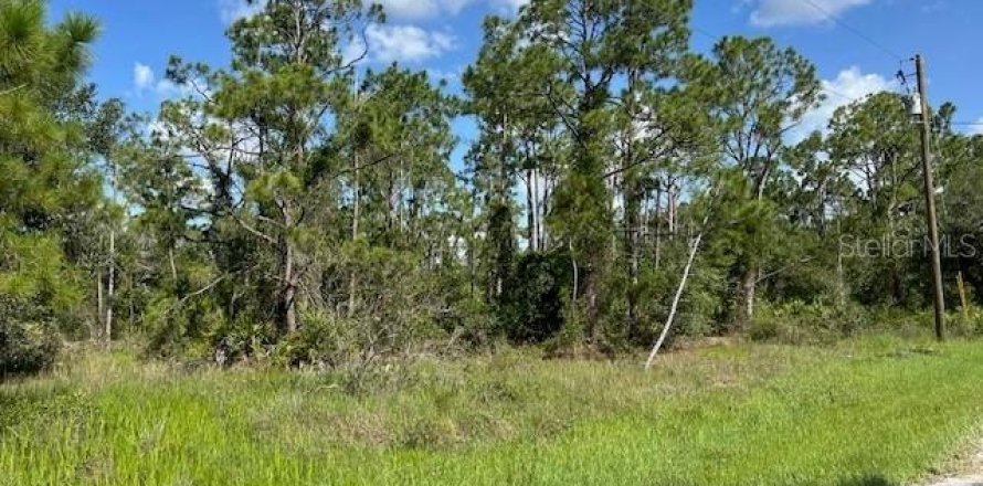 Land in Punta Gorda, Florida № 2165482