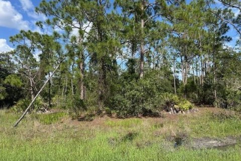 Land in Punta Gorda, Florida № 2165482 - photo 6
