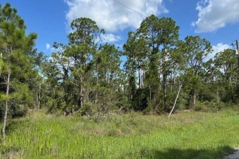 Land in Punta Gorda, Florida № 2165482 - photo 2