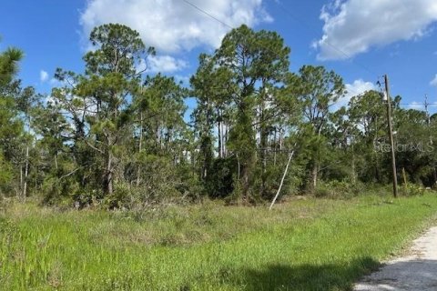 Land in Punta Gorda, Florida № 2165482 - photo 3