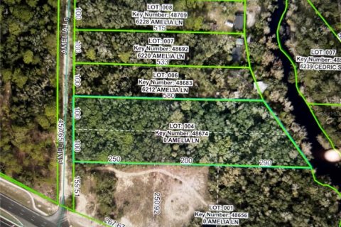 Land in Dade City, Florida № 1912304 - photo 2