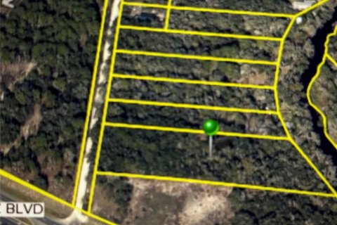Land in Dade City, Florida № 1912304 - photo 6