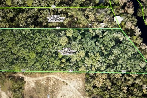 Land in Dade City, Florida № 1912304 - photo 5