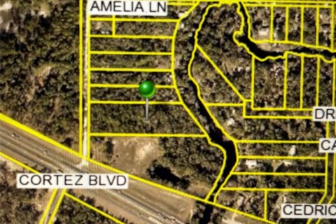 Land in Dade City, Florida № 1912304 - photo 1