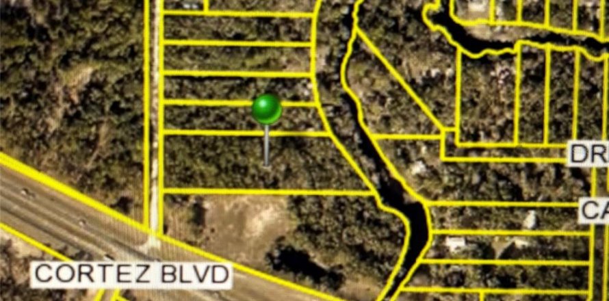 Land in Dade City, Florida № 1912304