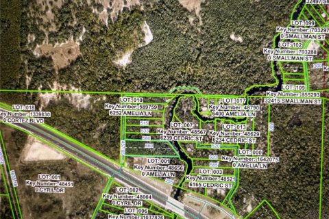 Land in Dade City, Florida № 1912304 - photo 3