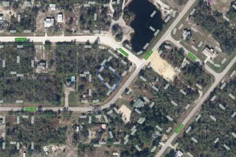 Land in Lake Placid, Florida № 2158661