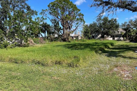 Land in Port Charlotte, Florida № 2164217 - photo 3