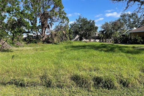 Land in Port Charlotte, Florida № 2164217 - photo 2