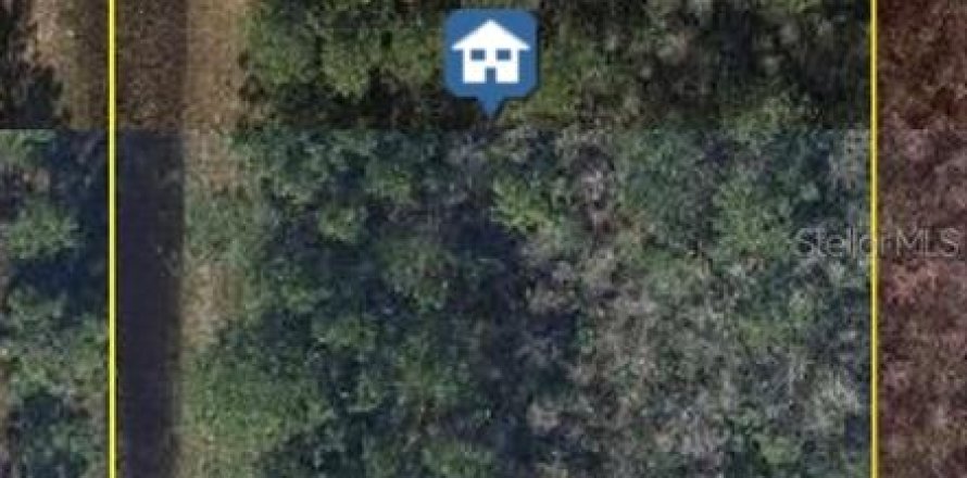 Land in Orlando, Florida № 1834651