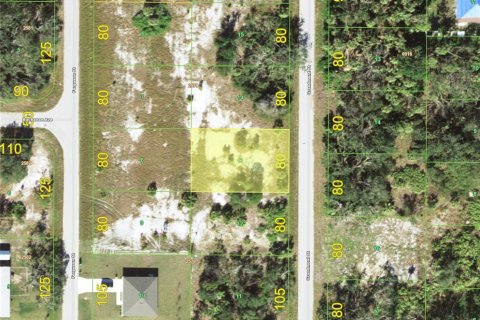 Land in Port Charlotte, Florida № 2159703