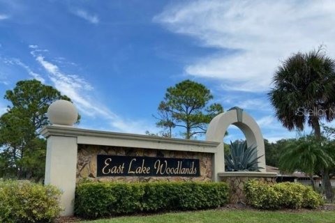 House in Oldsmar, Florida 4 bedrooms, 215.35 sq.m. № 1597334 - photo 4