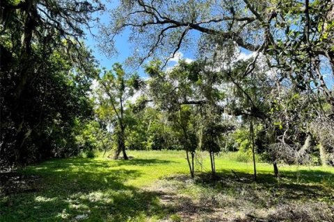 Terrain à Apopka, Floride № 2272858