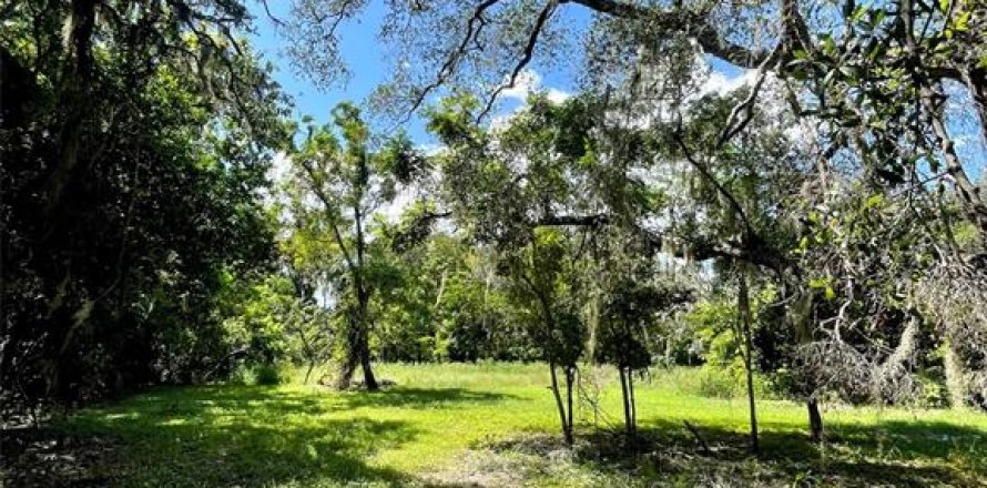 Land in Apopka, Florida № 2272858
