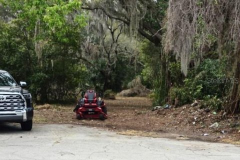 Land in Apopka, Florida № 2272858 - photo 2