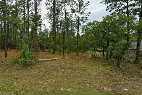 Land in Dunnellon, Florida № 2400136