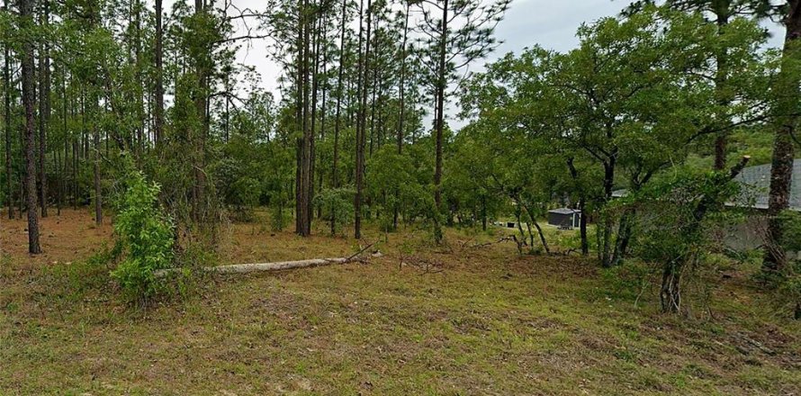 Land in Dunnellon, Florida № 2400136