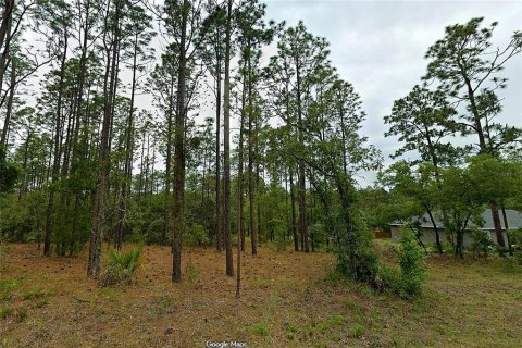 Land in Dunnellon, Florida № 2400136 - photo 2