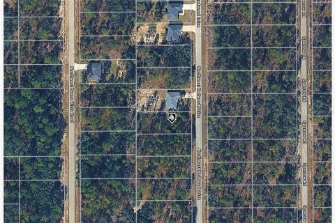 Land in Dunnellon, Florida № 2400136 - photo 3