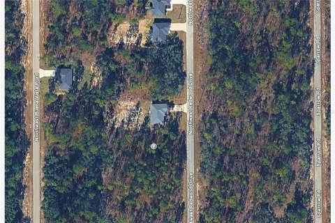 Land in Dunnellon, Florida № 2400136 - photo 5