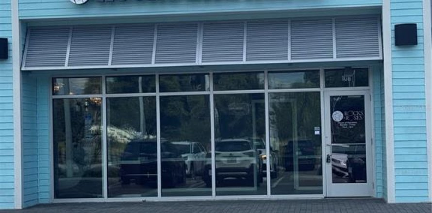 Commercial property in Wimauma, Florida № 2213826