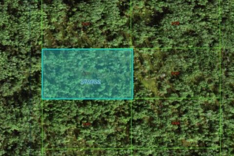 Terreno en Polk City, Florida № 2202843