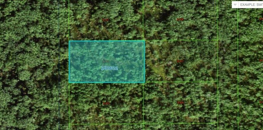Terreno en Polk City, Florida № 2202843
