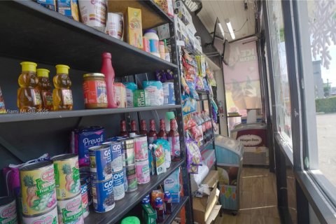 Immobilier commercial à vendre à Miami, Floride № 1936335 - photo 13