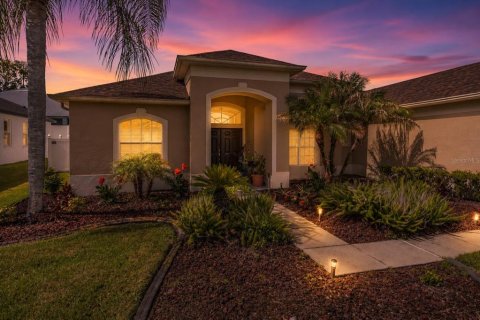 House in Valrico, Florida 4 bedrooms, 240.15 sq.m. № 2110426