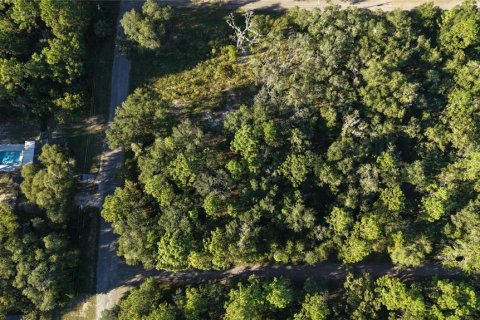 Land in Inverness, Florida № 2393644 - photo 20