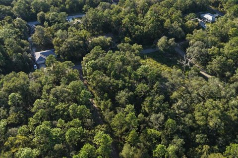 Land in Inverness, Florida № 2393644 - photo 15