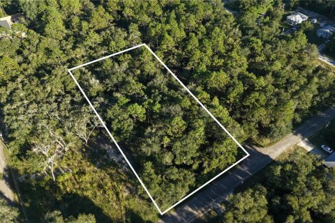 Land in Inverness, Florida № 2393644 - photo 4