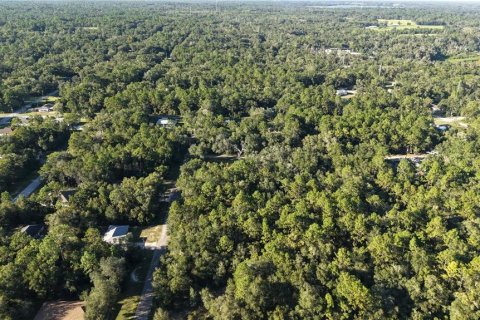 Land in Inverness, Florida № 2393644 - photo 5