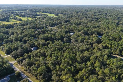Land in Inverness, Florida № 2393644 - photo 6